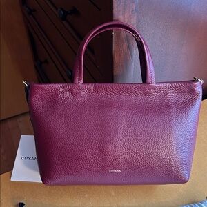 Cuyana Mini Easy Zipper Tote in Cherry with removable leather crossbody strap